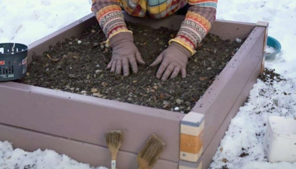 Hochbeet im Februar vorbereiten: So starten Sie mit Vorsprung ins Frühjahr