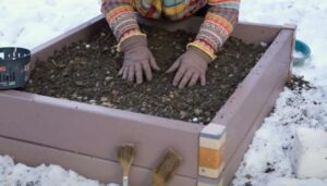 Hochbeet im Februar vorbereiten: So starten Sie mit Vorsprung ins Frühjahr