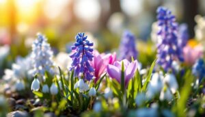 Hyazinthen, Krokusse, Schneeglöckchen: 7 Tipps für drinnen und draußen